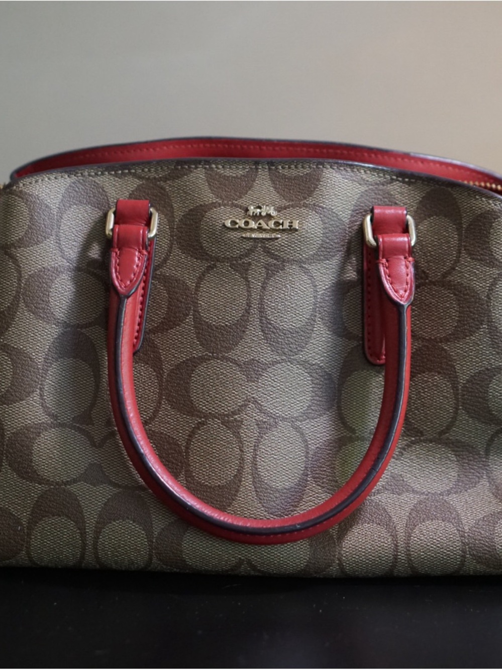 Coach Mini Sage Carryall in Signature Canva